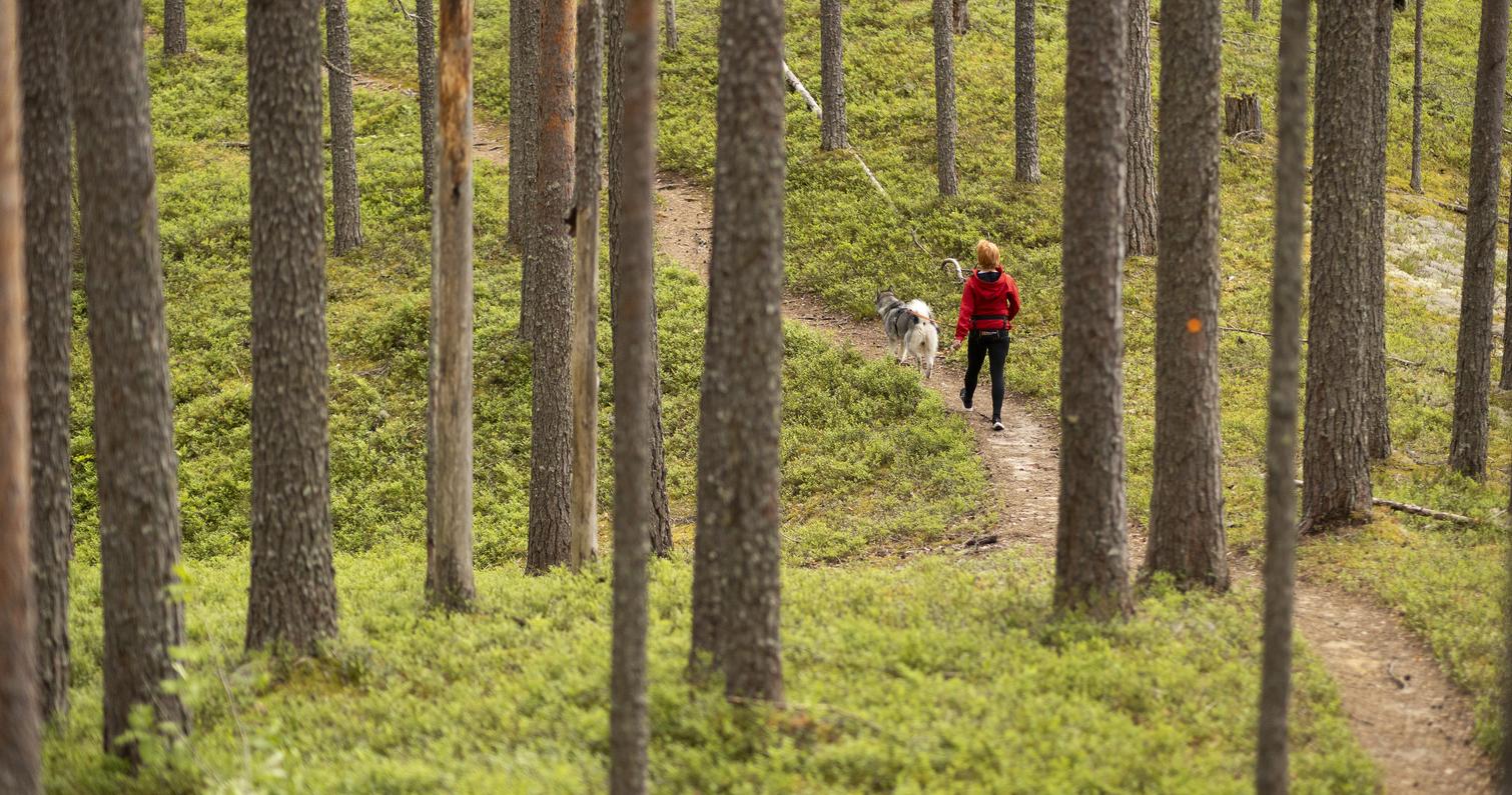 Petkeljärvi National Park, Kuikka tour