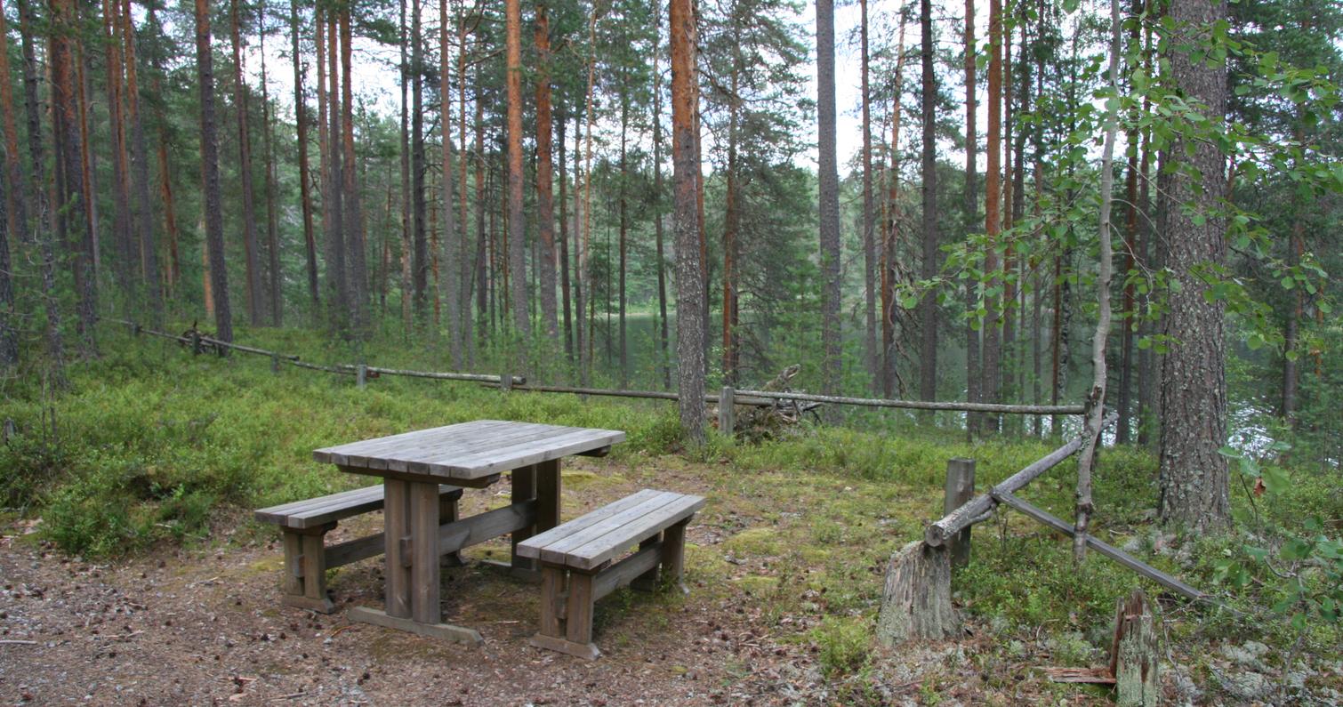 T&auml;ltomr&aring;de Petkelj&auml;rvi nationalpark, Petkelj&auml;rvi centrum