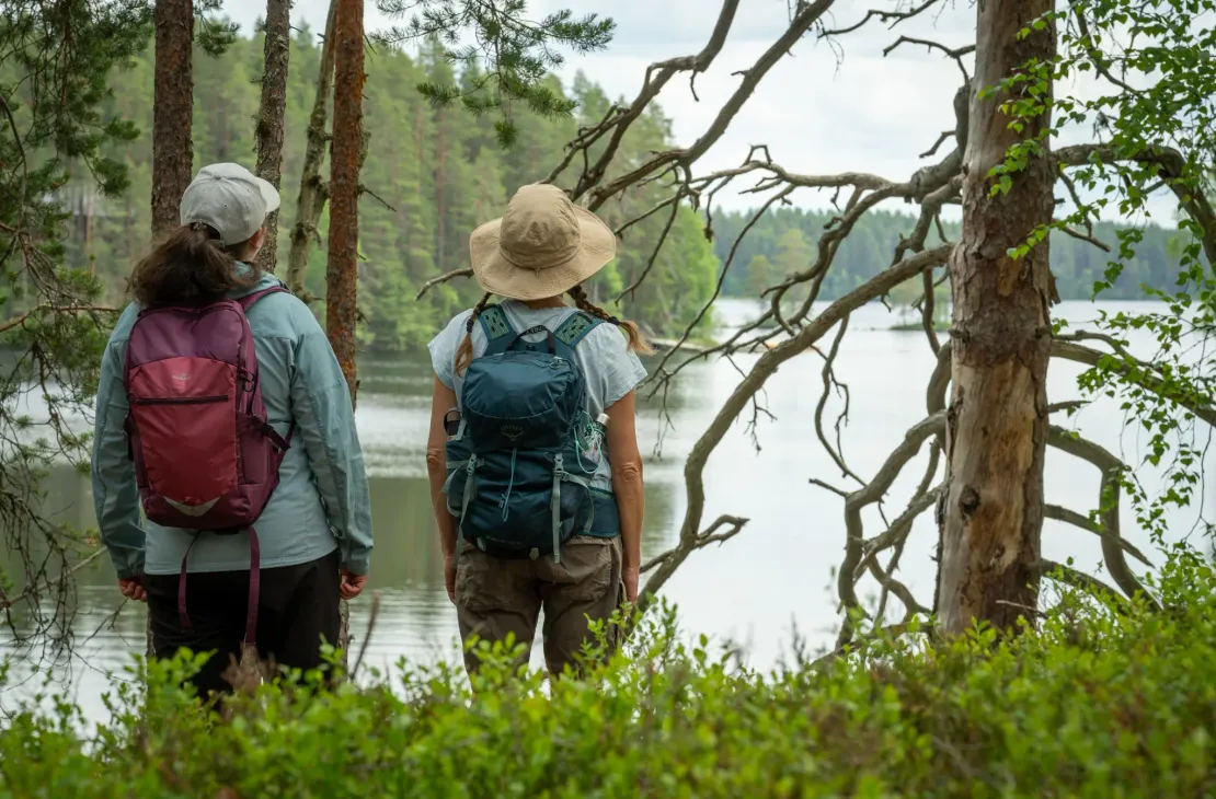 Ridge Trail Petkelj&auml;rvi National Park. Visit Karelia