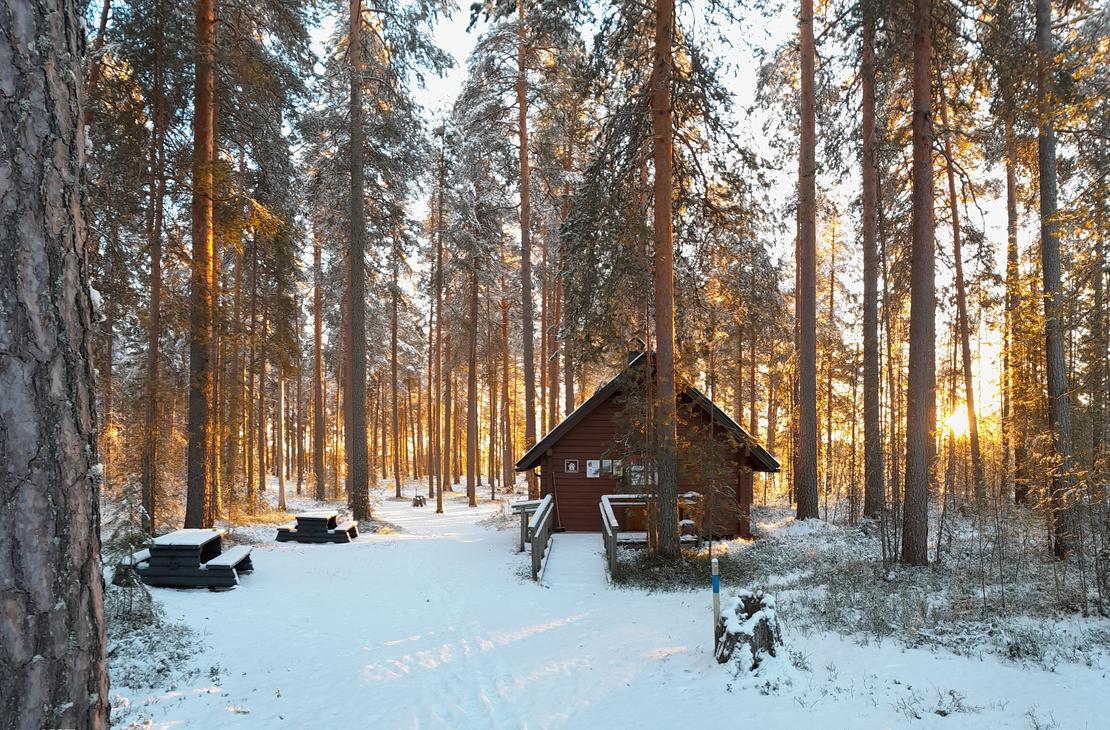 Petkeljärvi lägereldstuga, vinterlandskap