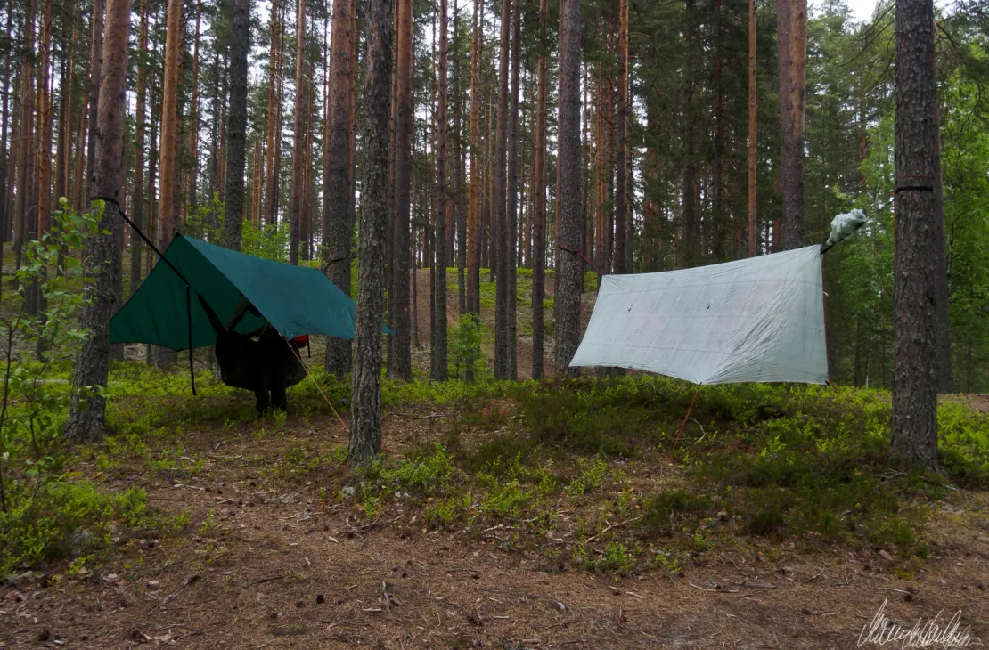 Promenade en hamac dans le parc national de Petkeljärvi
