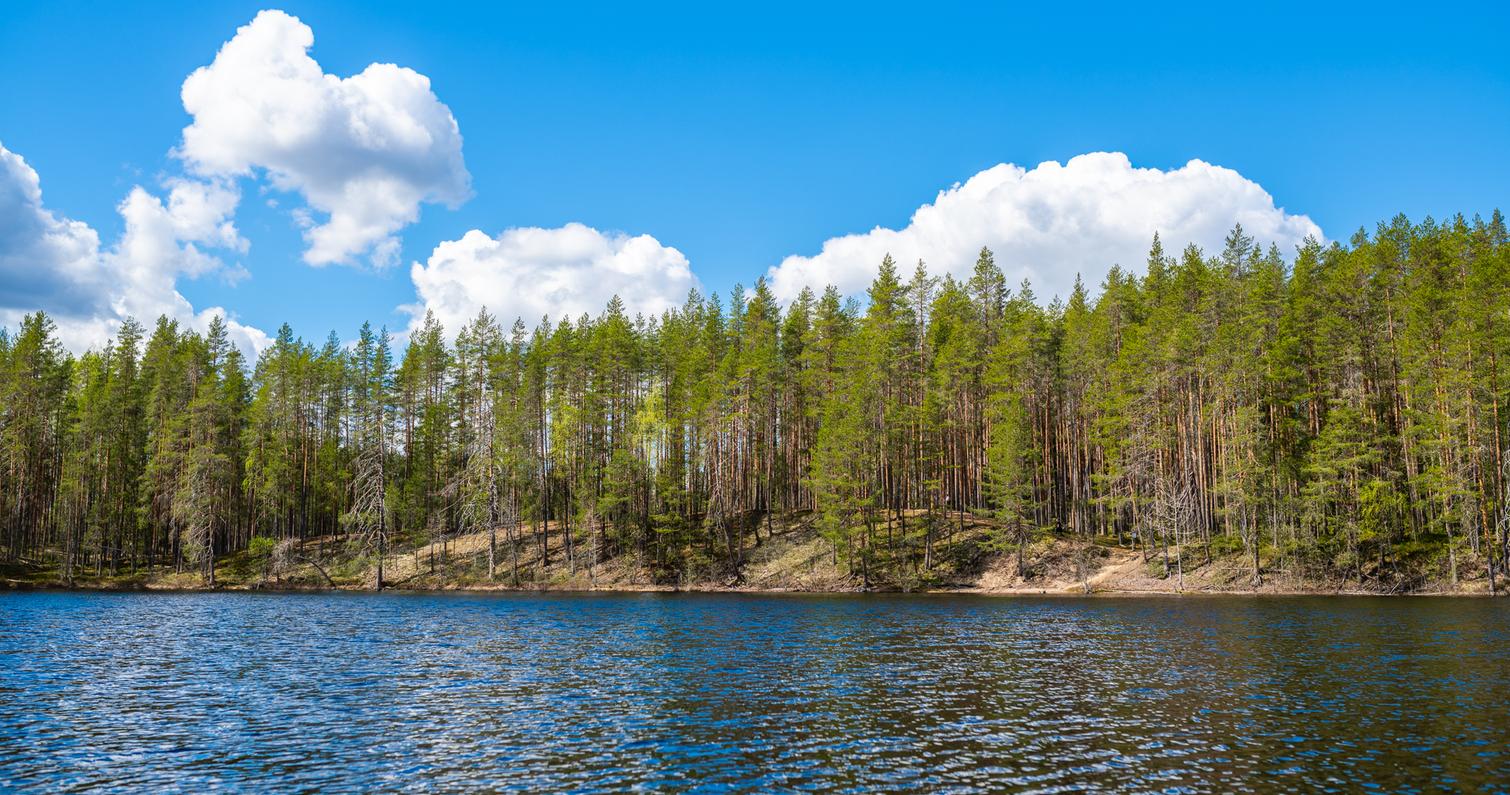 Petkeljärvi-Nationalpark, Kokkolahti