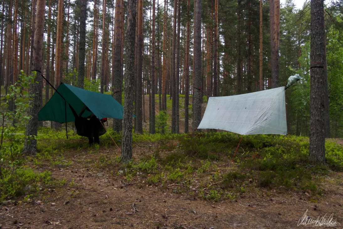 Promenade en hamac dans le parc national de Petkeljärvi