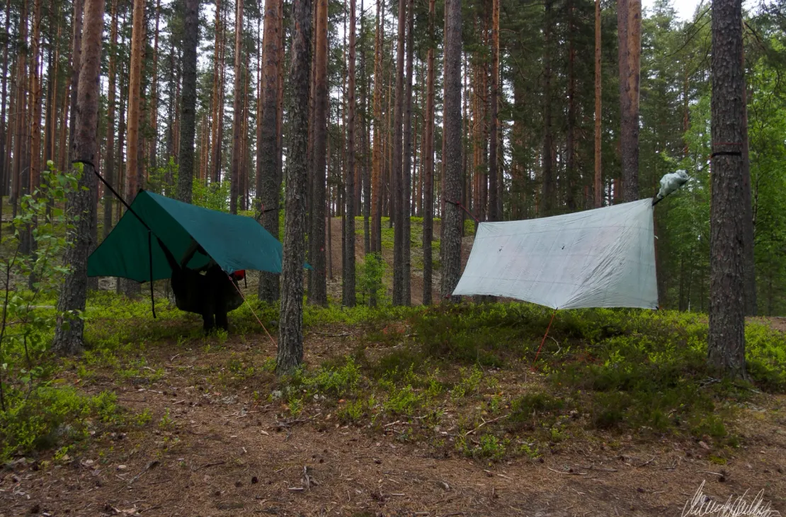 Promenade en hamac dans le parc national de Petkeljärvi
